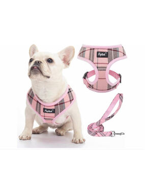 NEW PUPTECK Soft Mesh Dog Harness Leash Set Pet Puppy Cat Comfort Padded Vest L